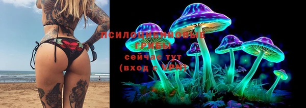 мескалин Нязепетровск