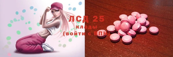 ГАЛЛЮЦИНОГЕННЫЕ ГРИБЫ Осташков