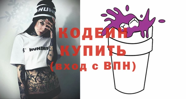 метадон Няндома
