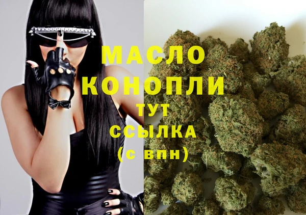 метадон Няндома