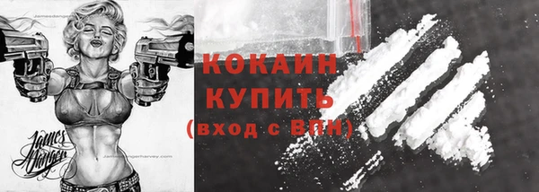 метадон Няндома
