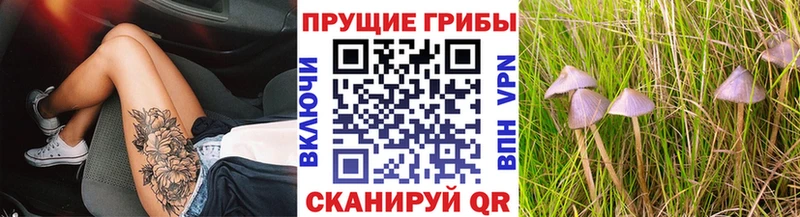 Галлюциногенные грибы мухоморы  Порхов 